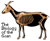 Goat Biology logo